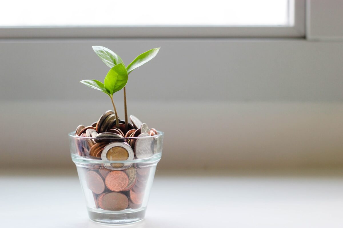 growing-money-pot